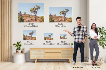 Joshua Tree Wall Art – California Desert Landscape Canvas Print | Ready to Hang