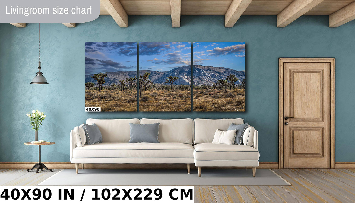 Joshua Tree National Park Print: Giant Rock California Desert Landscape