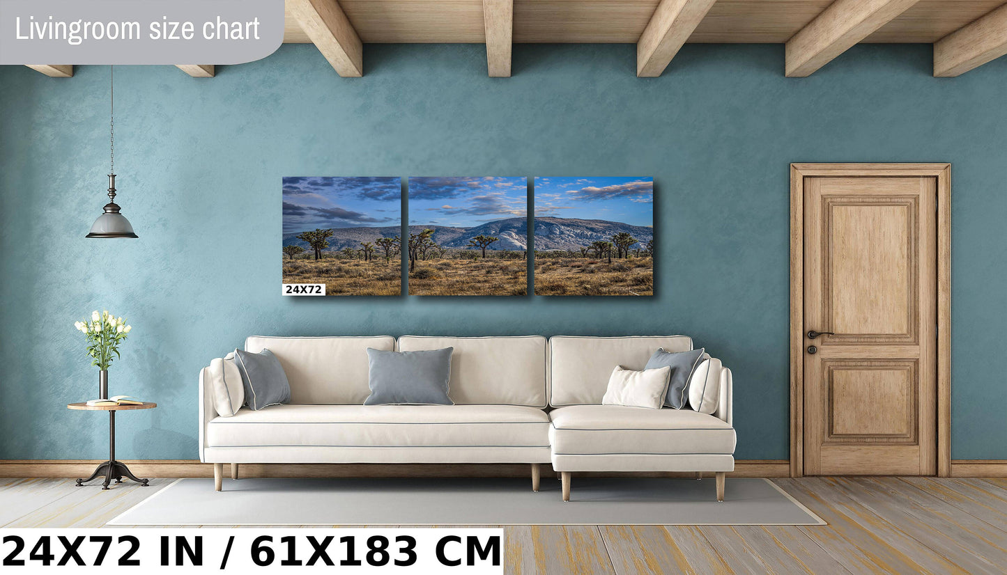 Joshua Tree National Park Print: Giant Rock California Desert Landscape