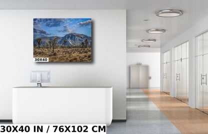 Joshua Tree National Park Print: Giant Rock California Desert Landscape