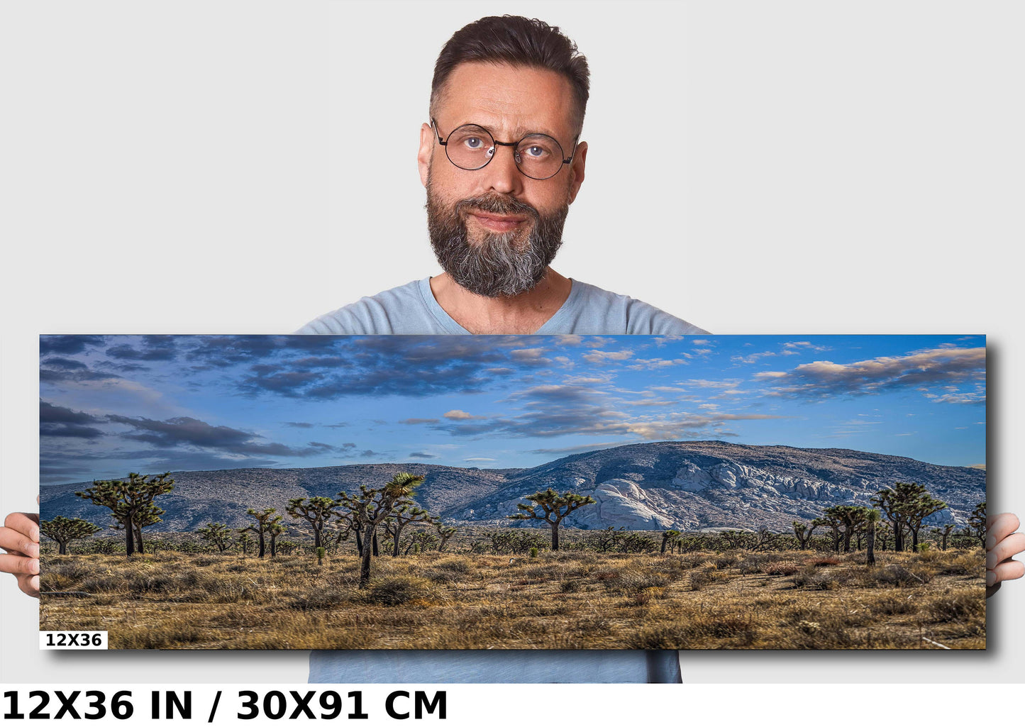 Joshua Tree National Park Print: Giant Rock California Desert Landscape