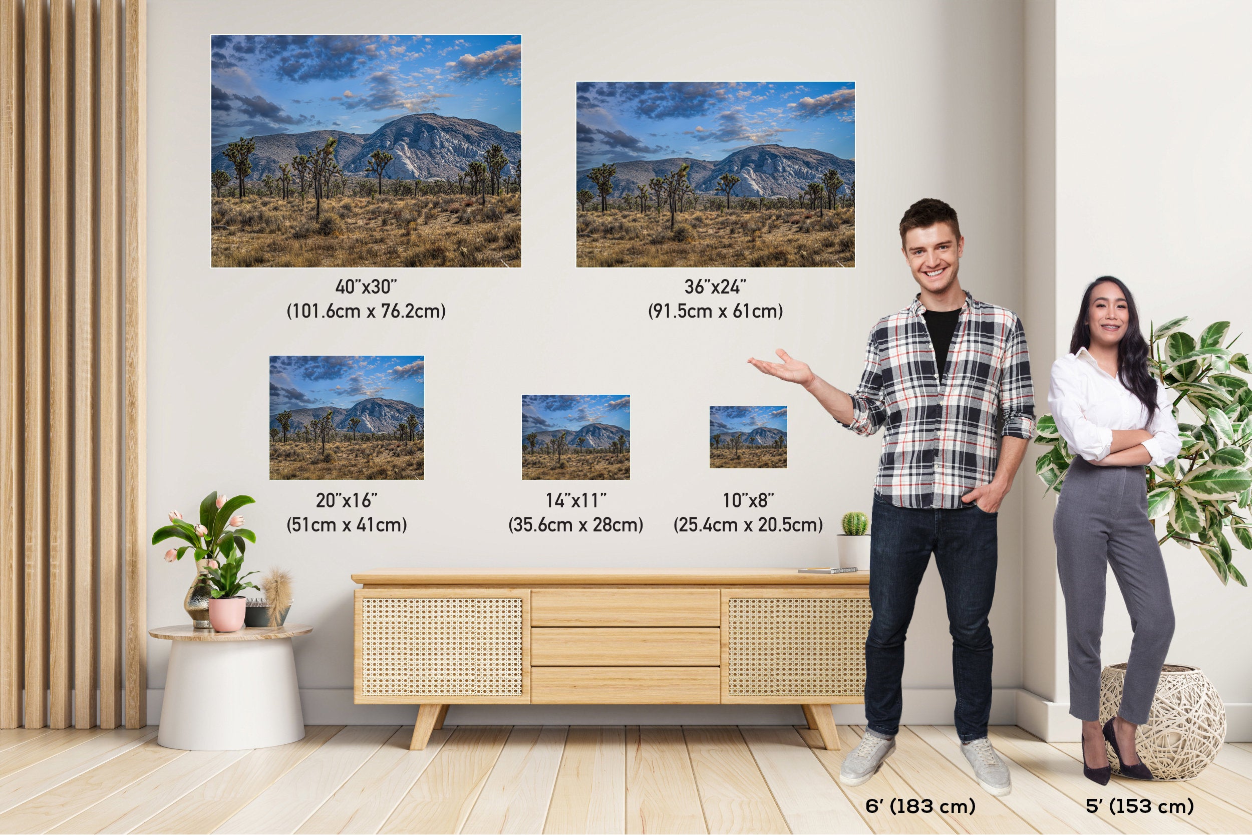 Joshua Tree National Park Print: Giant Rock California Desert Landscape
