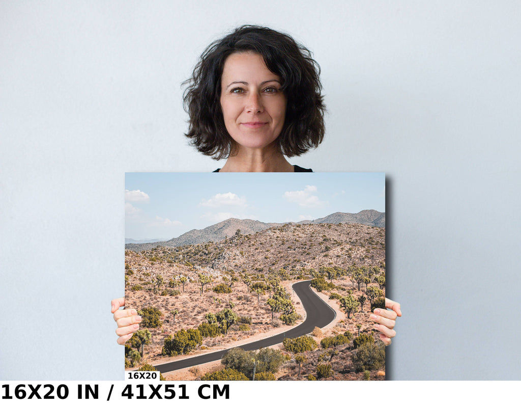 Joshua Tree Wall Art - California Desert Landscape Canvas Print | Ready To Hang
