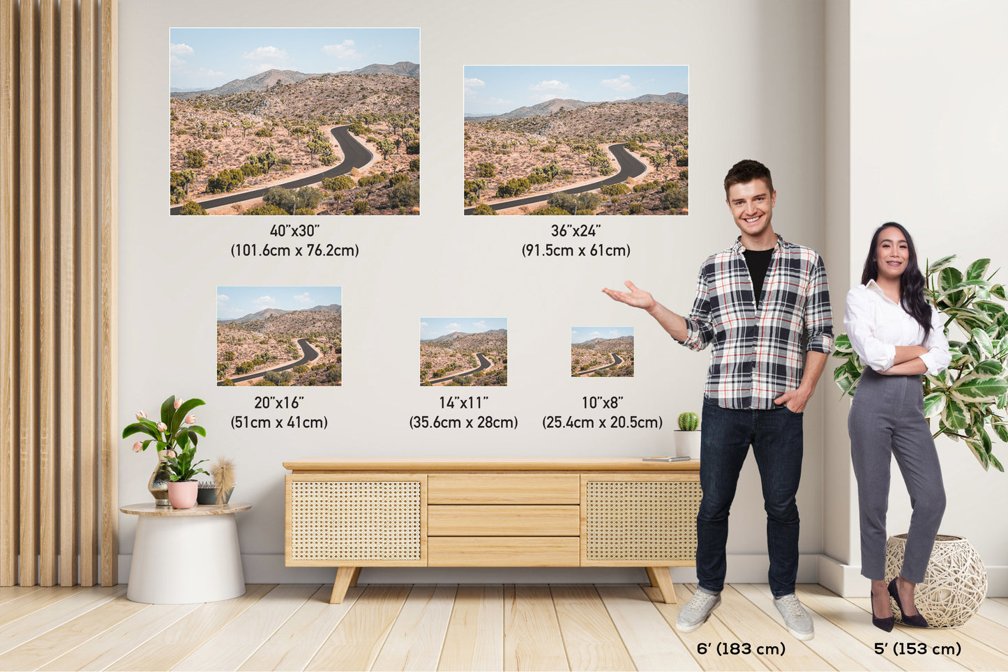 Joshua Tree Wall Art - California Desert Landscape Canvas Print | Ready To Hang