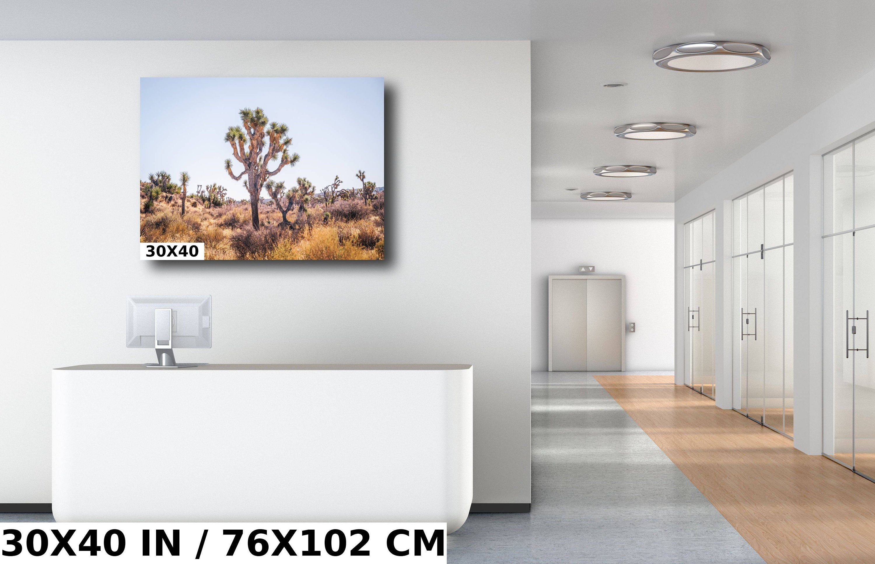 Joshua Tree National Park Art: California Desert Landscape Wall Decor