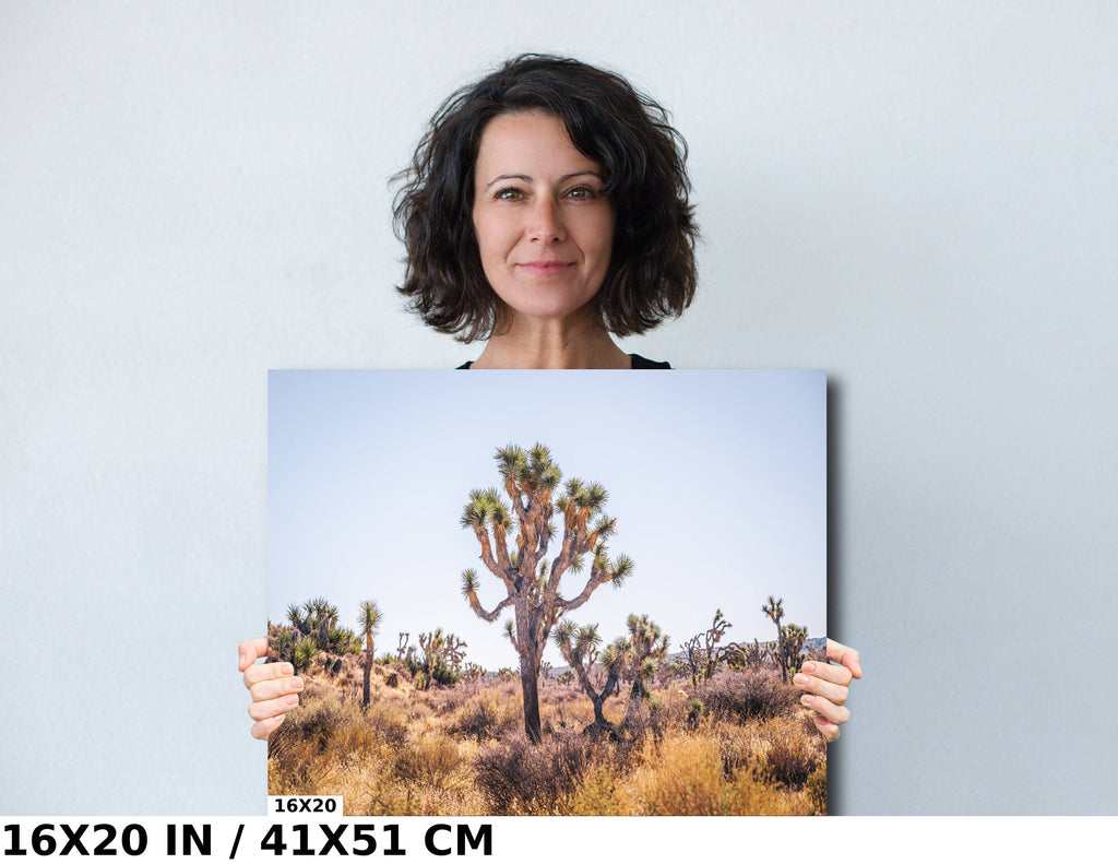 Joshua Tree National Park Art: California Desert Landscape Wall Decor