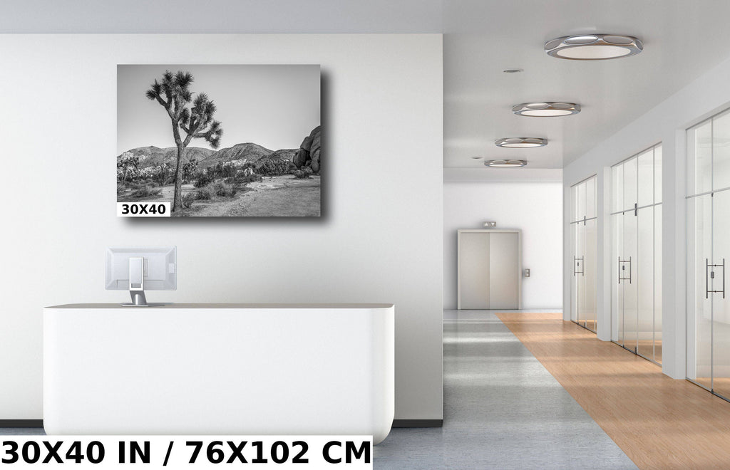 Joshua Tree Wall Art - California Desert Landscape Canvas | Black and White Desert Photography