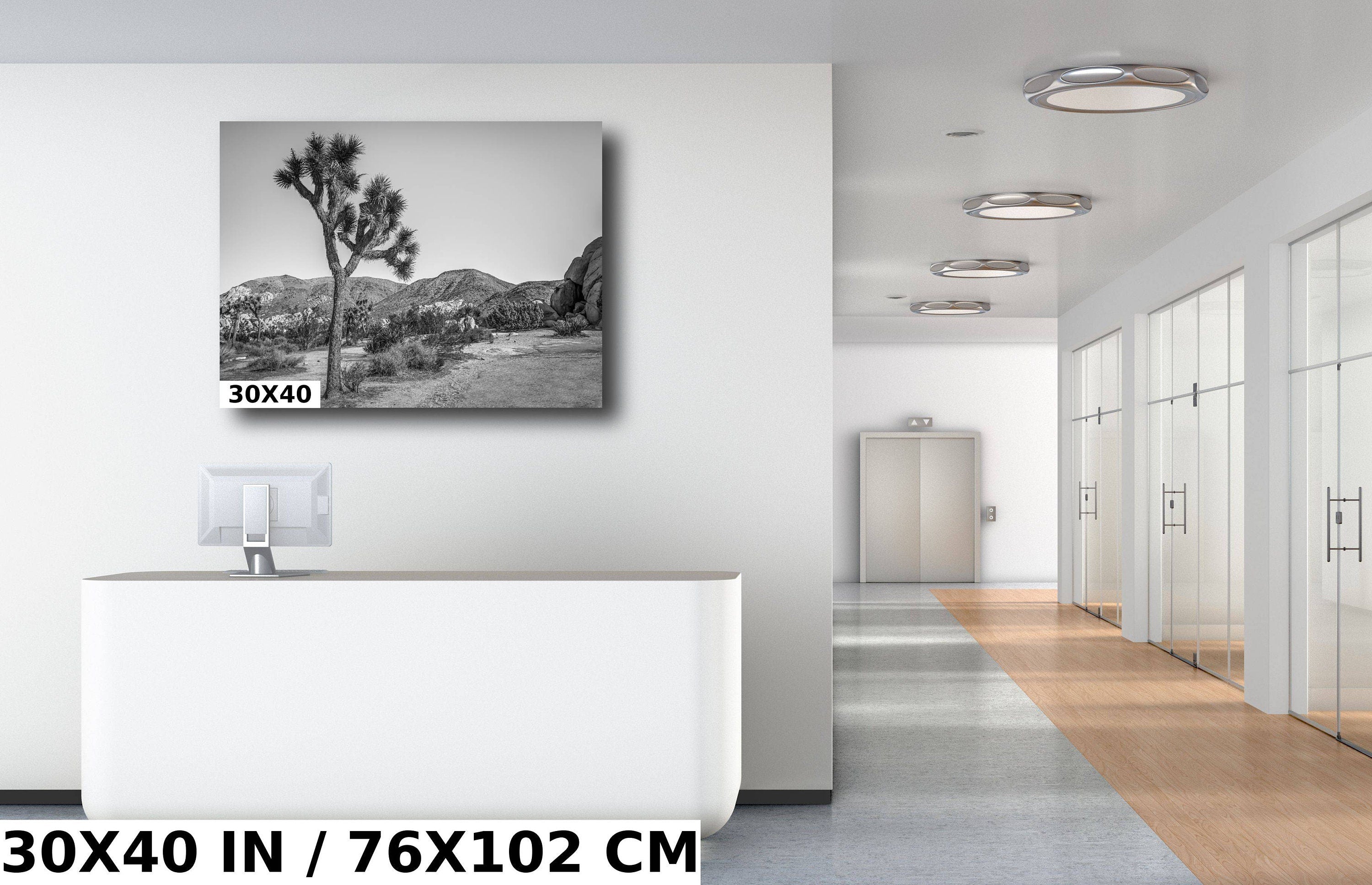 Joshua Tree Wall Art - California Desert Landscape Canvas | Black and White Desert Photography