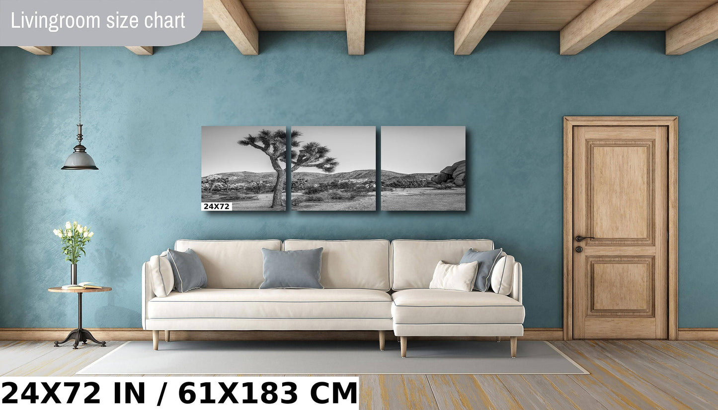 Joshua Tree Wall Art - California Desert Landscape Canvas | Black and White Desert Photography