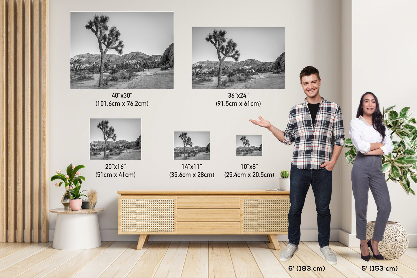 Joshua Tree Wall Art - California Desert Landscape Canvas | Black and White Desert Photography