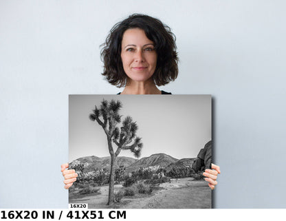 Joshua Tree Wall Art - California Desert Landscape Canvas | Black and White Desert Photography