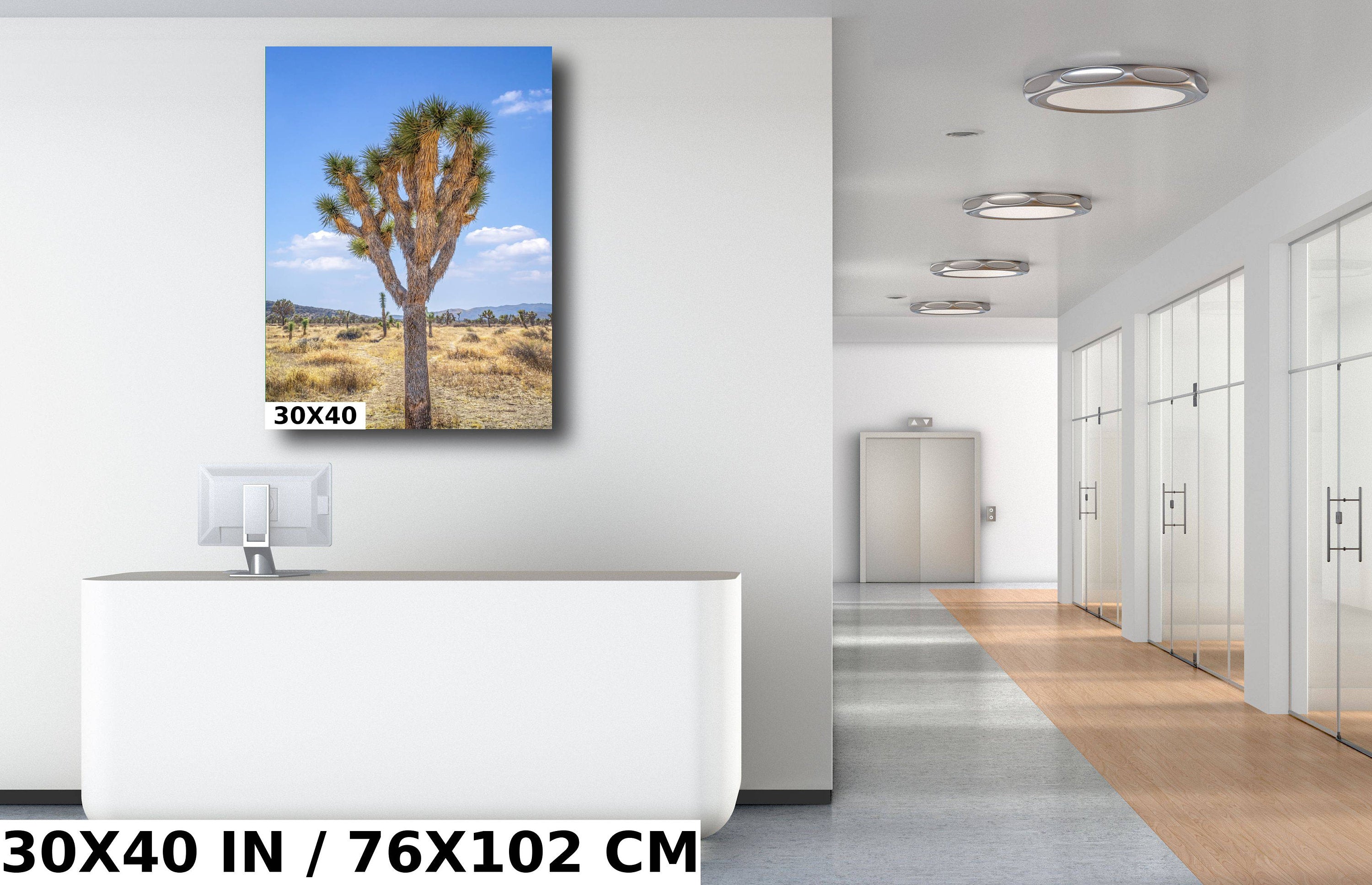 Joshua Tree National Park: Mojave Desert Landscape Wall Art Print