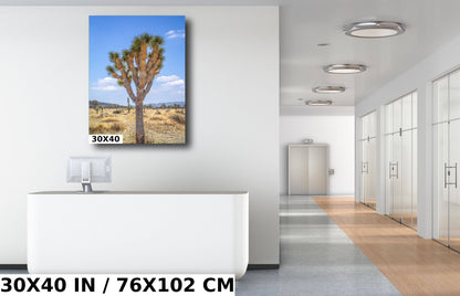 Joshua Tree Wall Art - California Desert Landscape Canvas Print | Mojave Desert Decor