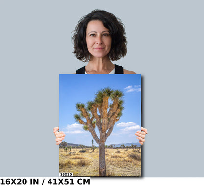 Joshua Tree Wall Art - California Desert Landscape Canvas Print | Mojave Desert Decor