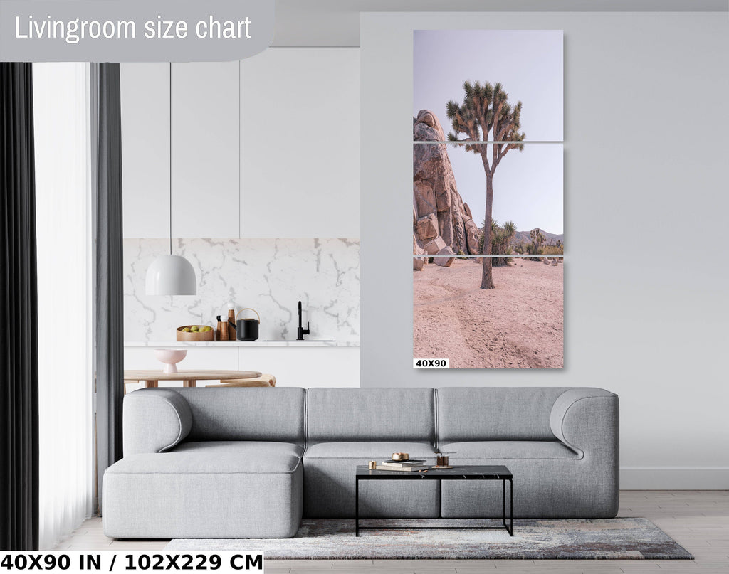 Joshua Tree National Park Print: California Desert Landscape