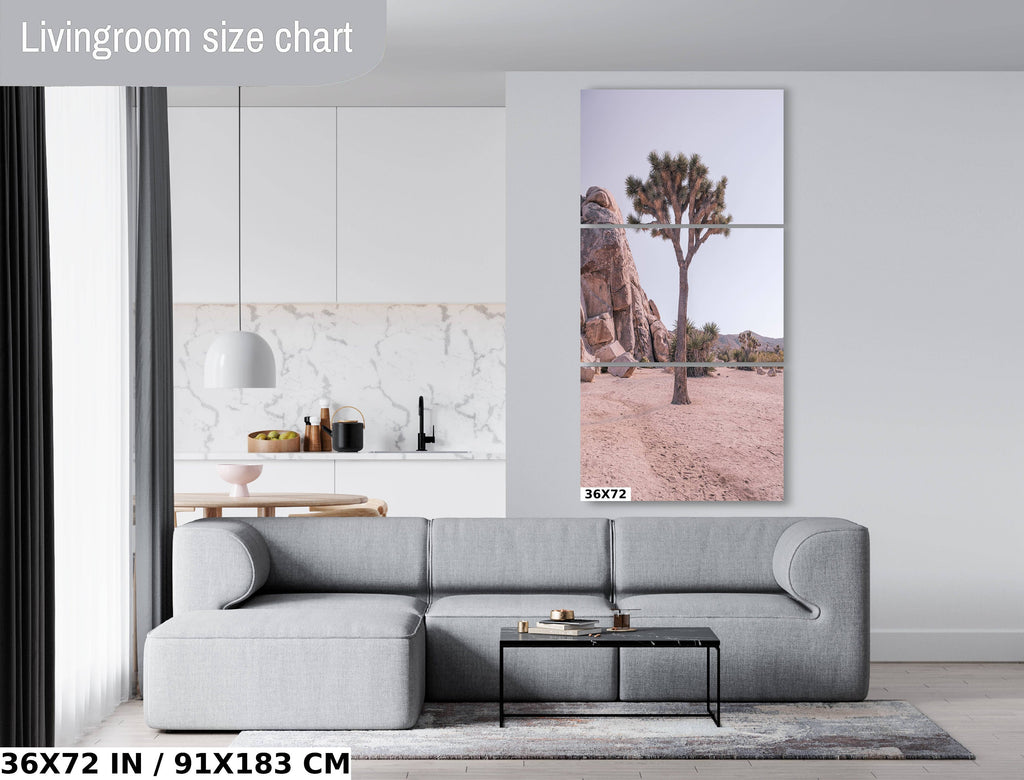 Joshua Tree National Park Print: California Desert Landscape