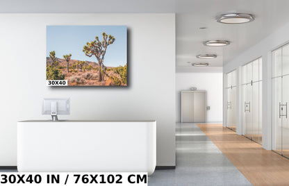 Joshua Tree Wall Art – California Desert Landscape Canvas Print | Ready to Hang