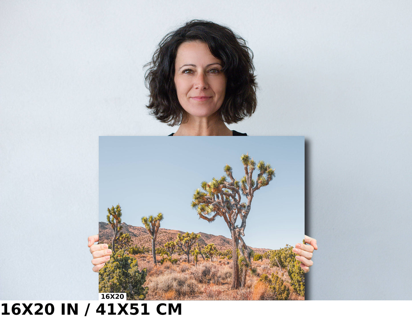 Joshua Tree Wall Art – California Desert Landscape Canvas Print | Ready to Hang