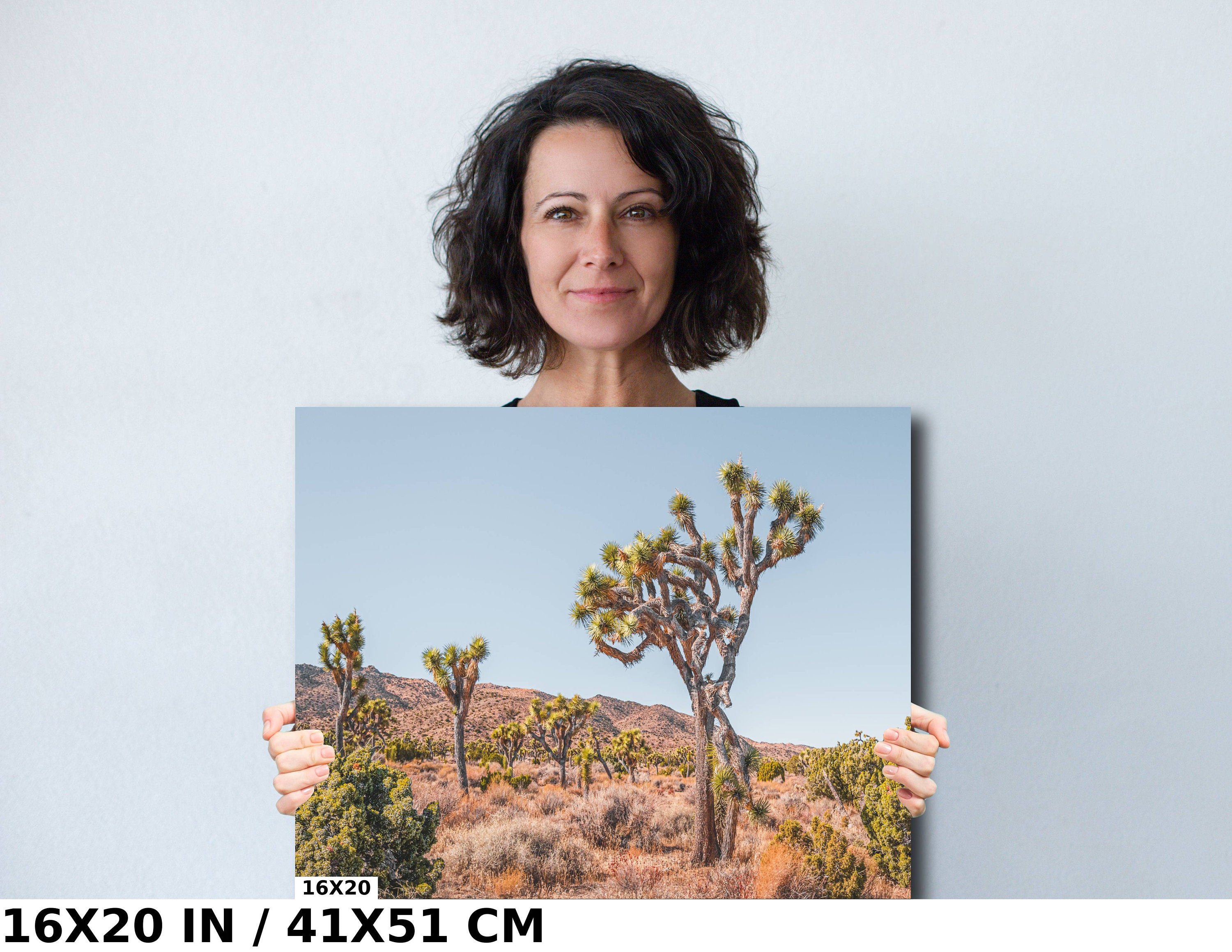 Joshua Tree National Park Art Print: California Desert Landscape