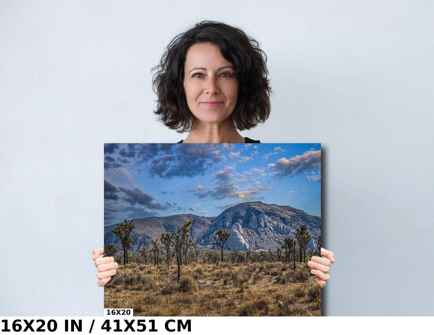 Joshua Tree National Park Print: Giant Rock California Desert Landscape