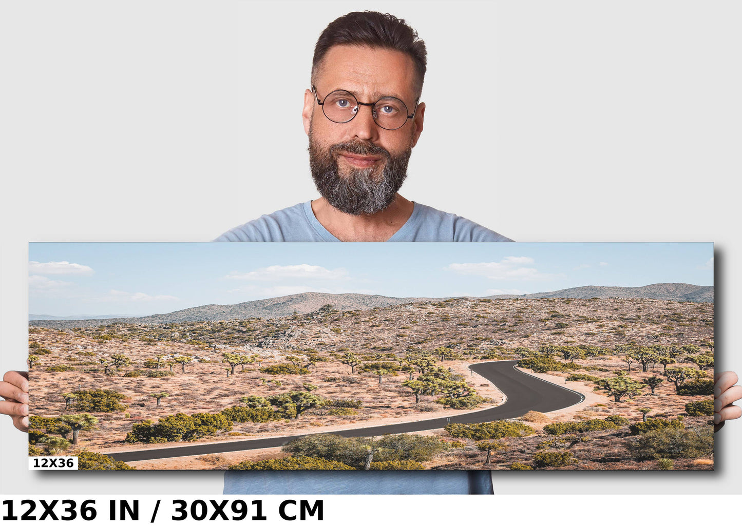 Joshua Tree Wall Art - California Desert Landscape Canvas Print | Ready To Hang