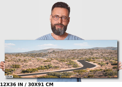 Joshua Tree Wall Art - California Desert Landscape Canvas Print | Ready To Hang