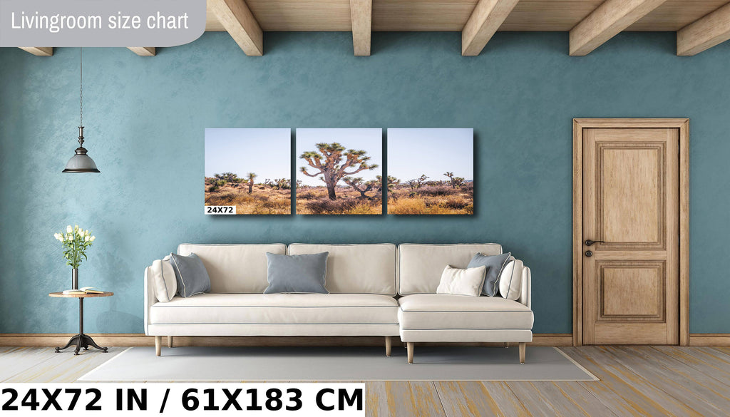 Joshua Tree National Park Art: California Desert Landscape Wall Decor