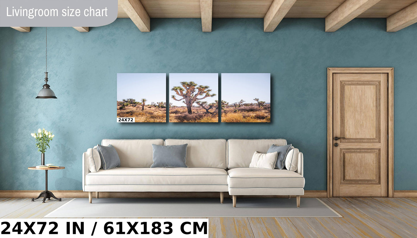 Joshua Tree Wall Art – California Desert Landscape Print | Premium Photo Paper