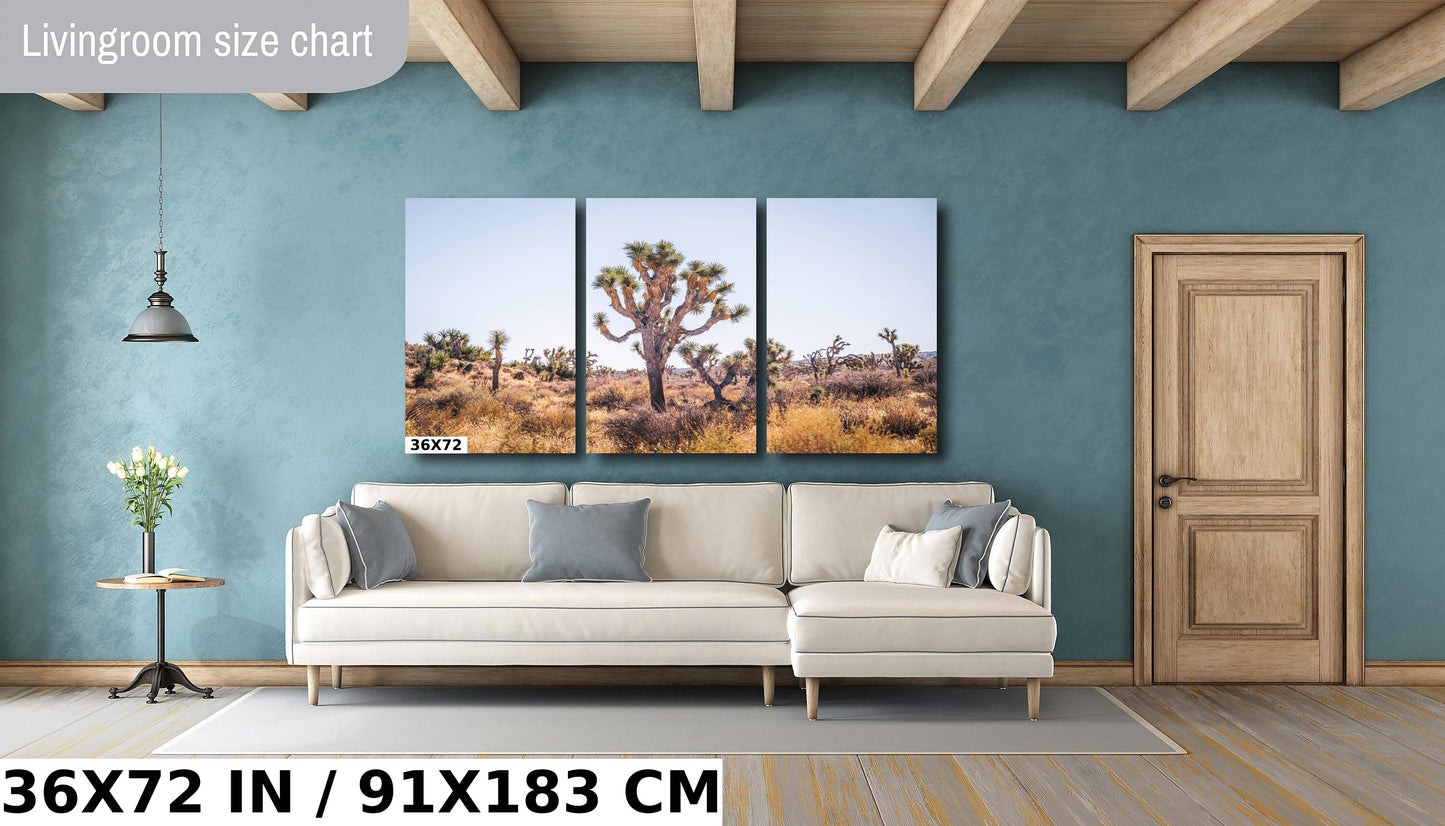 Joshua Tree Wall Art – California Desert Landscape Print | Premium Photo Paper