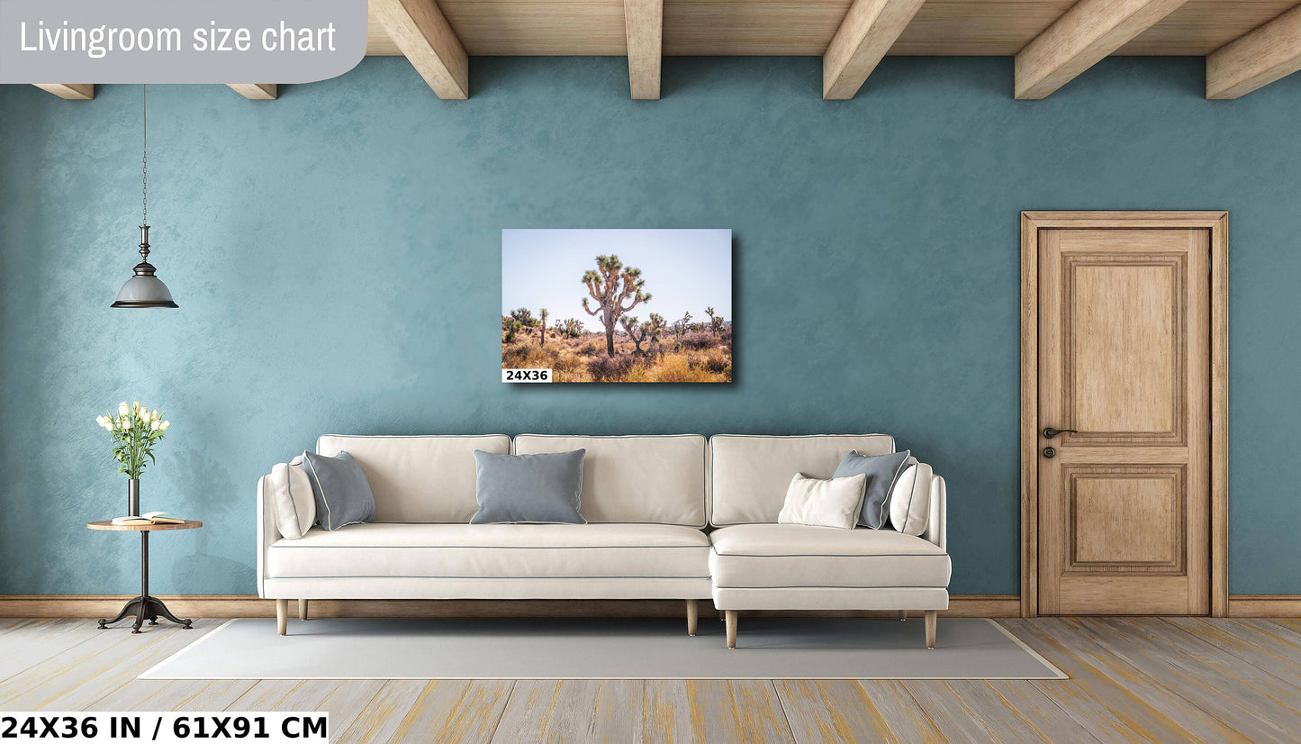 Joshua Tree Wall Art – California Desert Landscape Print | Premium Photo Paper
