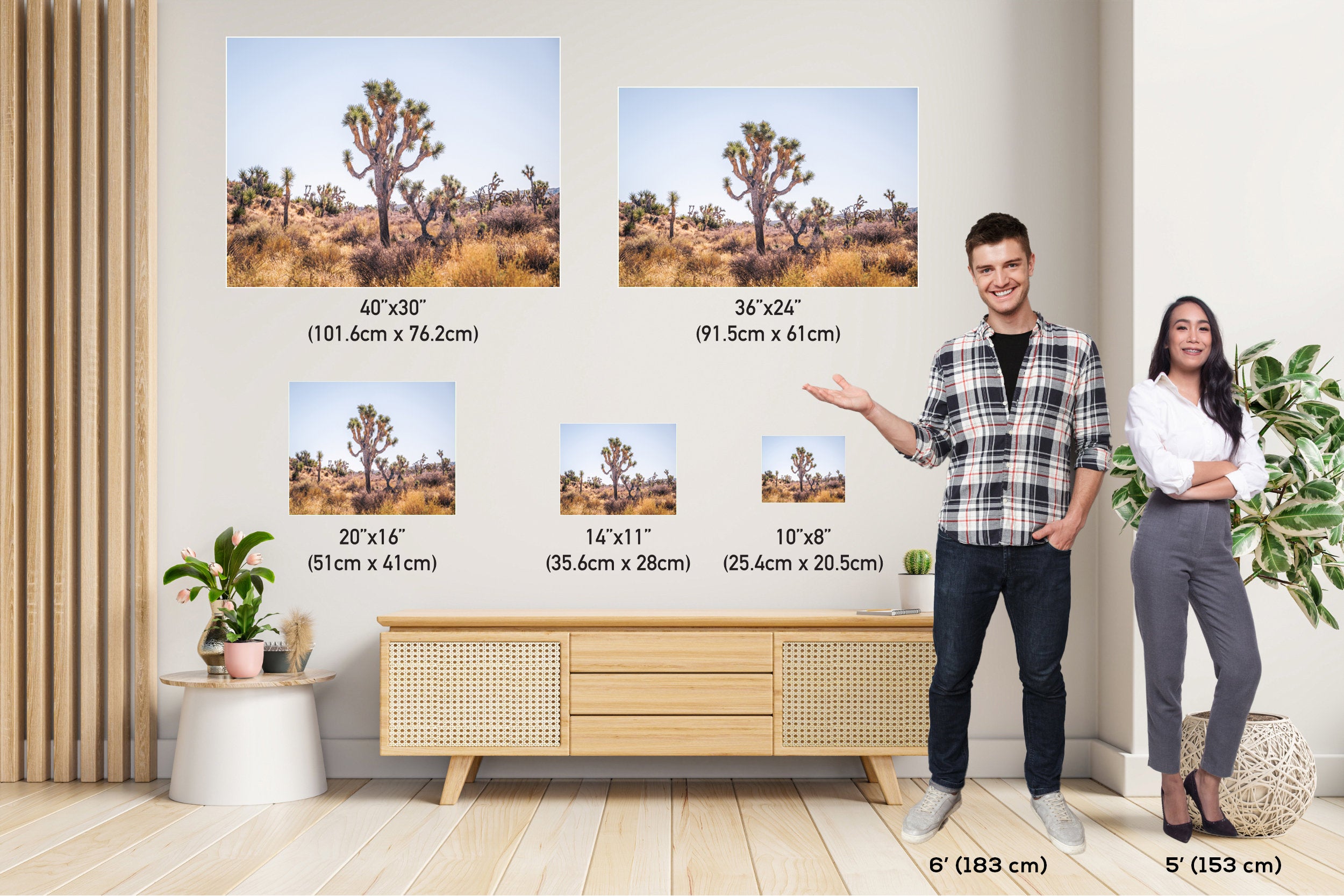Joshua Tree National Park Art: California Desert Landscape Wall Decor