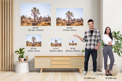 Joshua Tree Wall Art – California Desert Landscape Print | Premium Photo Paper
