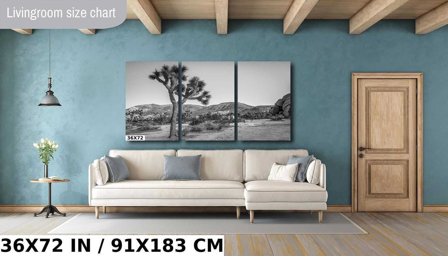 Joshua Tree Wall Art - California Desert Landscape Canvas | Black and White Desert Photography