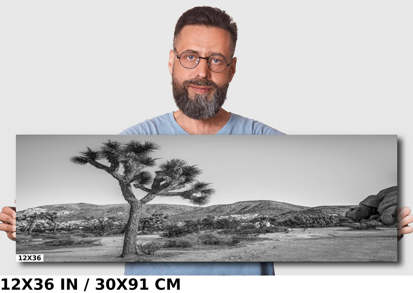 Joshua Tree Wall Art - California Desert Landscape Canvas | Black and White Desert Photography